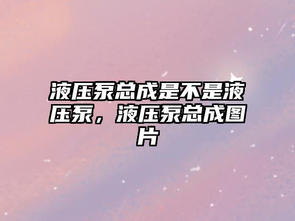 液壓泵總成是不是液壓泵，液壓泵總成圖片