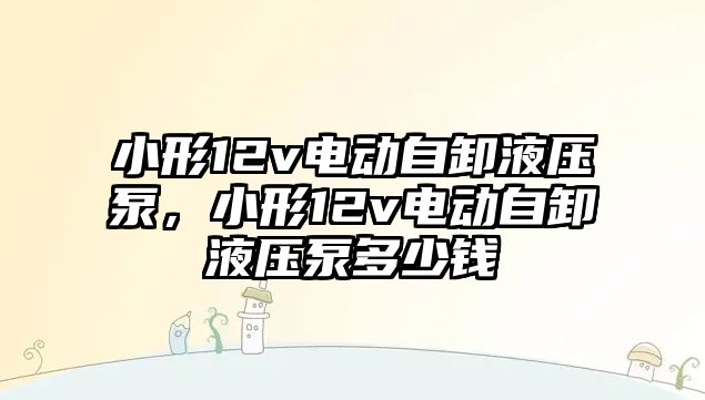 小形12v電動自卸液壓泵，小形12v電動自卸液壓泵多少錢