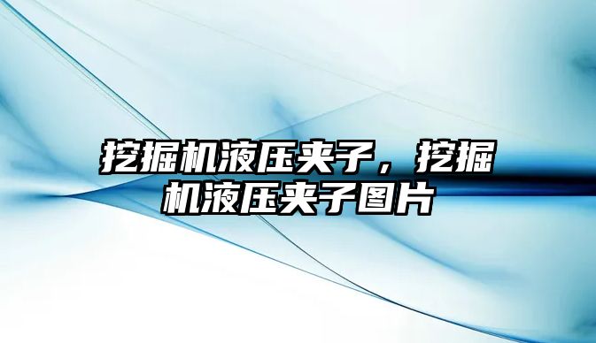 挖掘機液壓夾子，挖掘機液壓夾子圖片