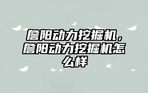 詹陽動力挖掘機，詹陽動力挖掘機怎么樣