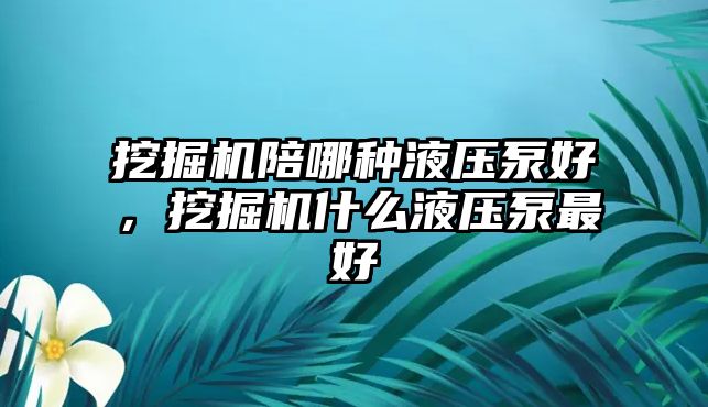 挖掘機(jī)陪哪種液壓泵好，挖掘機(jī)什么液壓泵最好