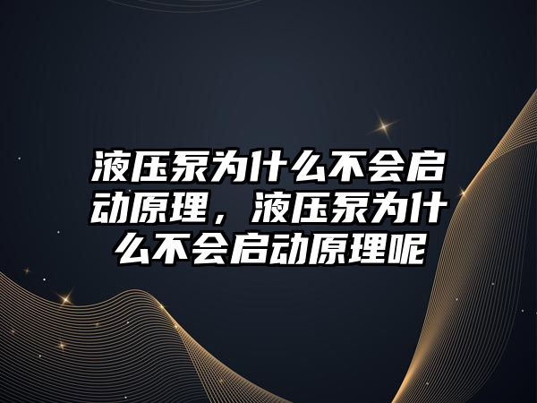 液壓泵為什么不會啟動原理，液壓泵為什么不會啟動原理呢