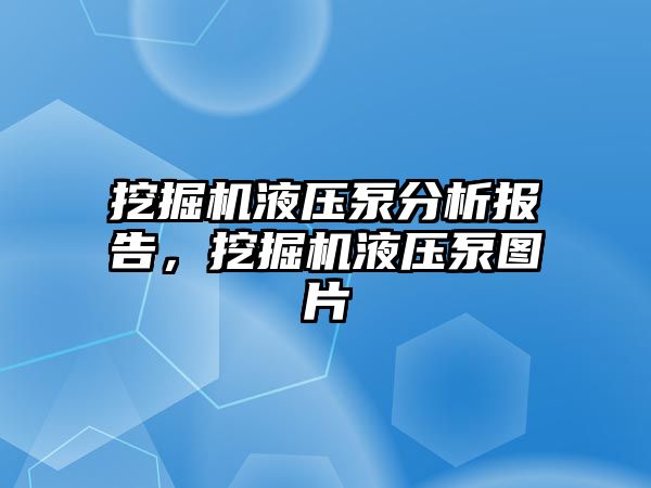 挖掘機液壓泵分析報告，挖掘機液壓泵圖片