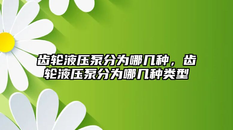 齒輪液壓泵分為哪幾種，齒輪液壓泵分為哪幾種類型