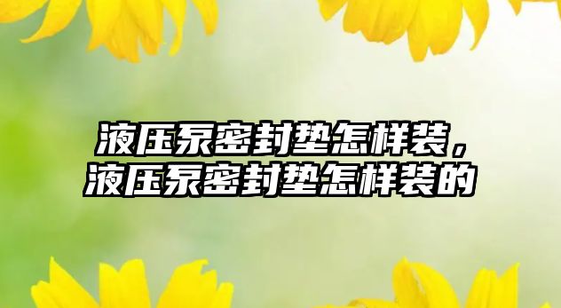 液壓泵密封墊怎樣裝，液壓泵密封墊怎樣裝的