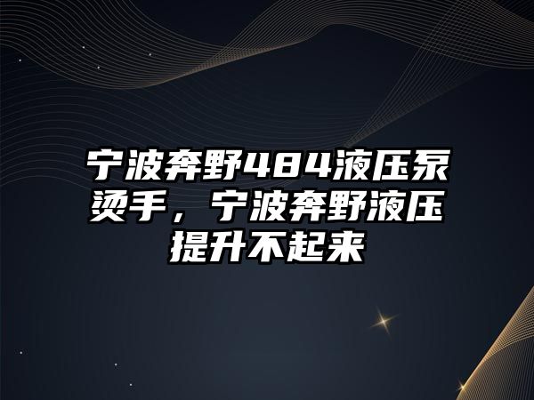 寧波奔野484液壓泵燙手，寧波奔野液壓提升不起來