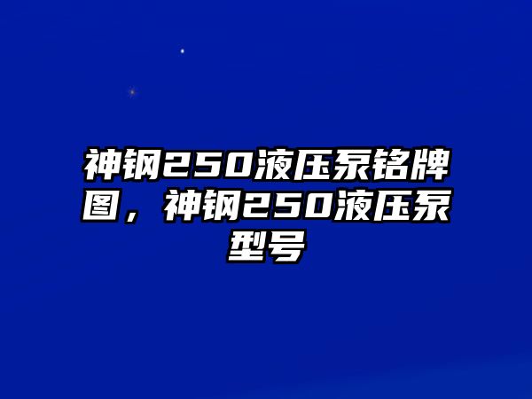 神鋼250液壓泵銘牌圖，神鋼250液壓泵型號(hào)