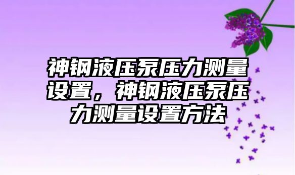 神鋼液壓泵壓力測(cè)量設(shè)置，神鋼液壓泵壓力測(cè)量設(shè)置方法