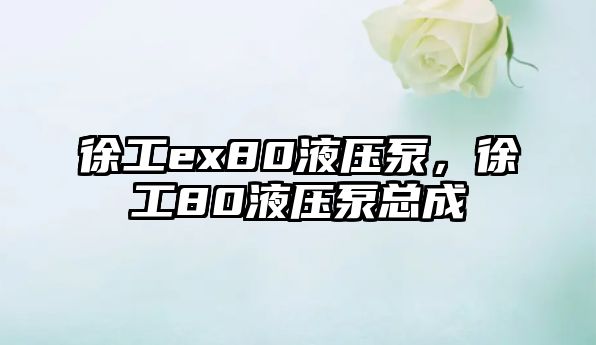 徐工ex80液壓泵，徐工80液壓泵總成