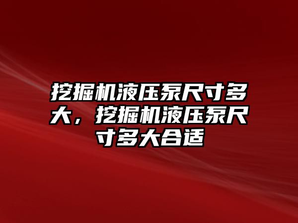 挖掘機液壓泵尺寸多大，挖掘機液壓泵尺寸多大合適