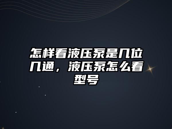 怎樣看液壓泵是幾位幾通，液壓泵怎么看型號