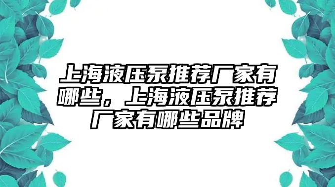 上海液壓泵推薦廠家有哪些，上海液壓泵推薦廠家有哪些品牌