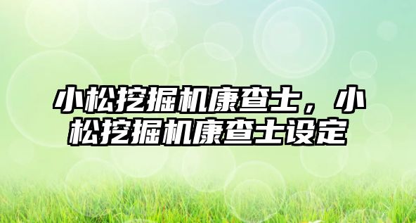 小松挖掘機康查士，小松挖掘機康查士設(shè)定