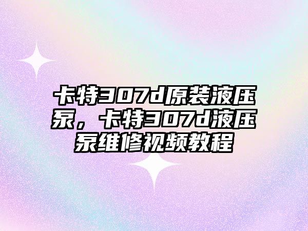 卡特307d原裝液壓泵，卡特307d液壓泵維修視頻教程