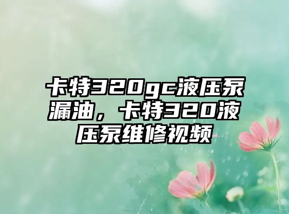 卡特320gc液壓泵漏油，卡特320液壓泵維修視頻