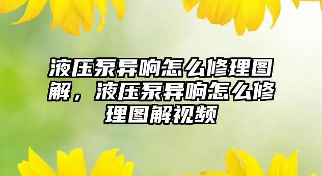 液壓泵異響怎么修理圖解，液壓泵異響怎么修理圖解視頻