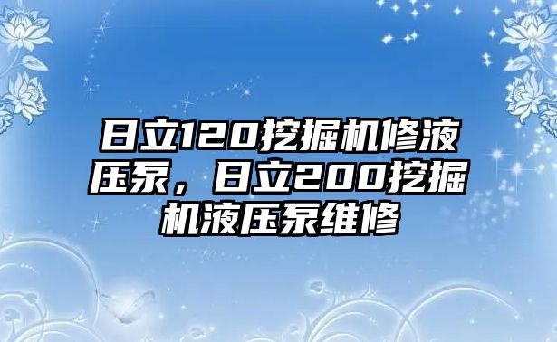 日立120挖掘機(jī)修液壓泵，日立200挖掘機(jī)液壓泵維修