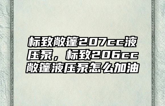 標(biāo)致敞篷207cc液壓泵，標(biāo)致206cc敞篷液壓泵怎么加油