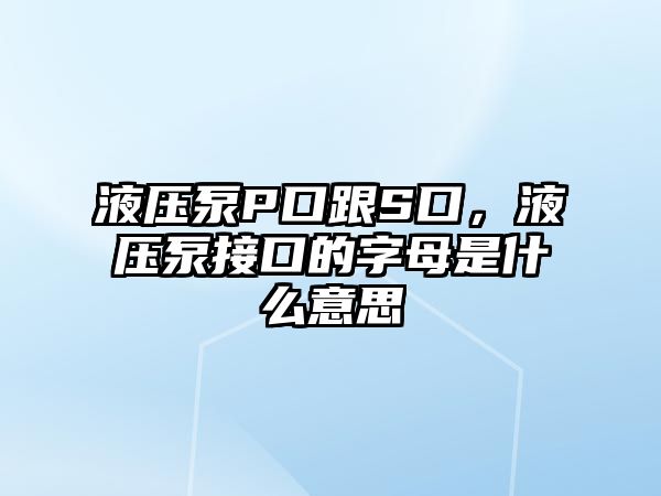 液壓泵P口跟S口，液壓泵接口的字母是什么意思