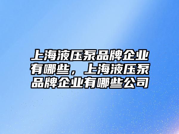 上海液壓泵品牌企業(yè)有哪些，上海液壓泵品牌企業(yè)有哪些公司