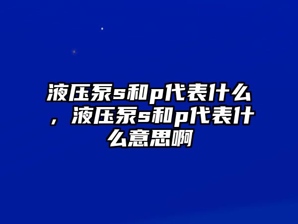 液壓泵s和p代表什么，液壓泵s和p代表什么意思啊