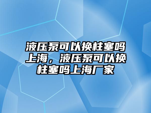 液壓泵可以換柱塞嗎上海，液壓泵可以換柱塞嗎上海廠家