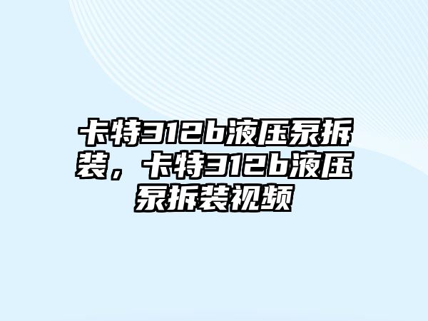 卡特312b液壓泵拆裝，卡特312b液壓泵拆裝視頻