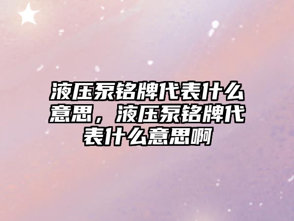 液壓泵銘牌代表什么意思，液壓泵銘牌代表什么意思啊