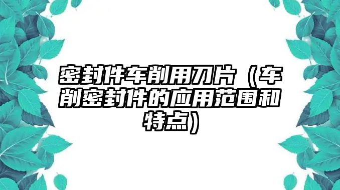 密封件車削用刀片（車削密封件的應(yīng)用范圍和特點(diǎn)）