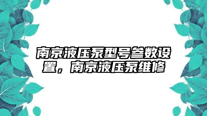 南京液壓泵型號參數(shù)設(shè)置，南京液壓泵維修