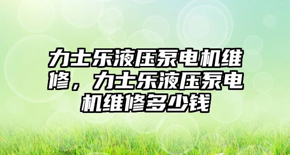 力士樂液壓泵電機(jī)維修，力士樂液壓泵電機(jī)維修多少錢