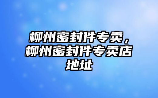 柳州密封件專賣，柳州密封件專賣店地址