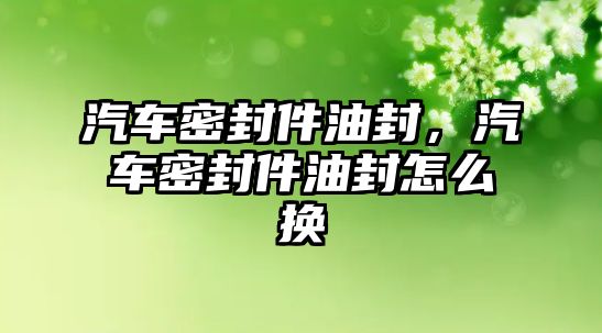 汽車密封件油封，汽車密封件油封怎么換