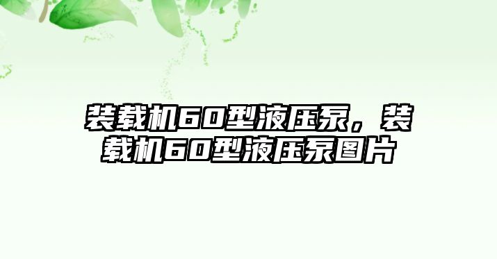 裝載機(jī)60型液壓泵，裝載機(jī)60型液壓泵圖片