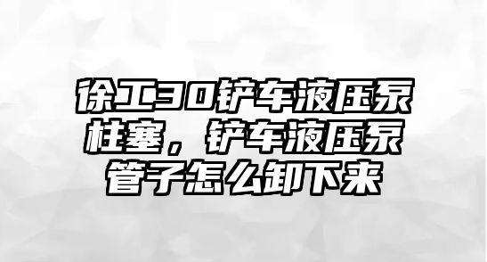 徐工30鏟車液壓泵柱塞，鏟車液壓泵管子怎么卸下來