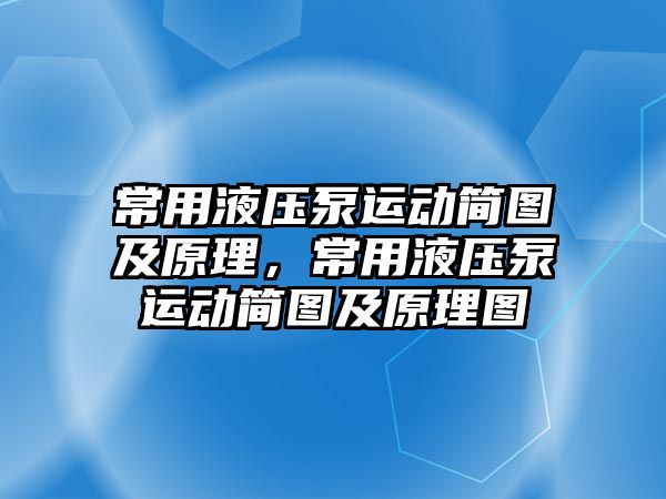 常用液壓泵運動簡圖及原理，常用液壓泵運動簡圖及原理圖