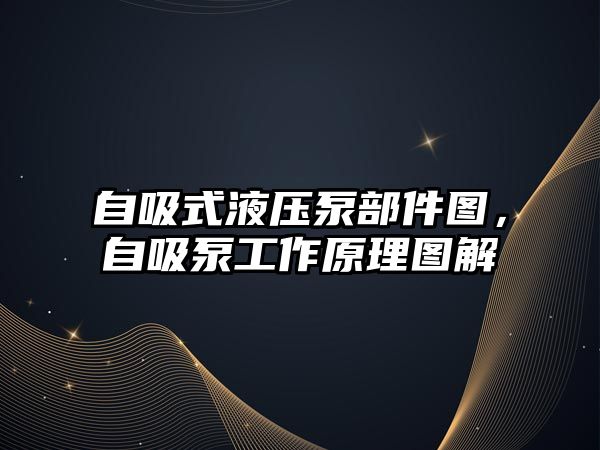 自吸式液壓泵部件圖，自吸泵工作原理圖解