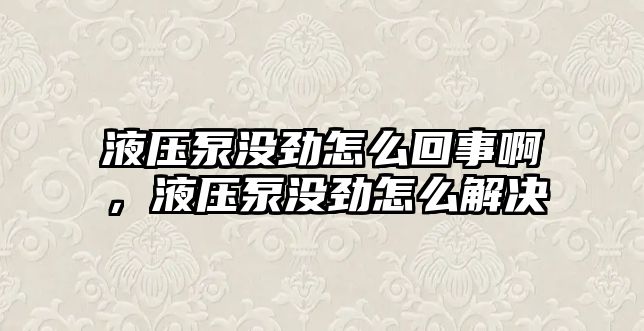 液壓泵沒勁怎么回事啊，液壓泵沒勁怎么解決