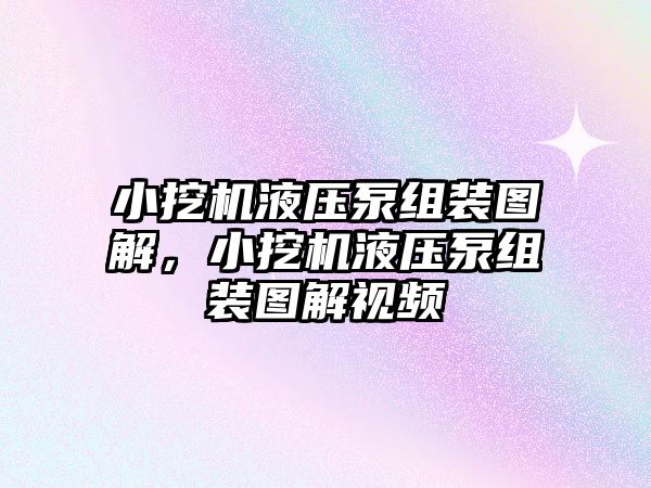 小挖機(jī)液壓泵組裝圖解，小挖機(jī)液壓泵組裝圖解視頻