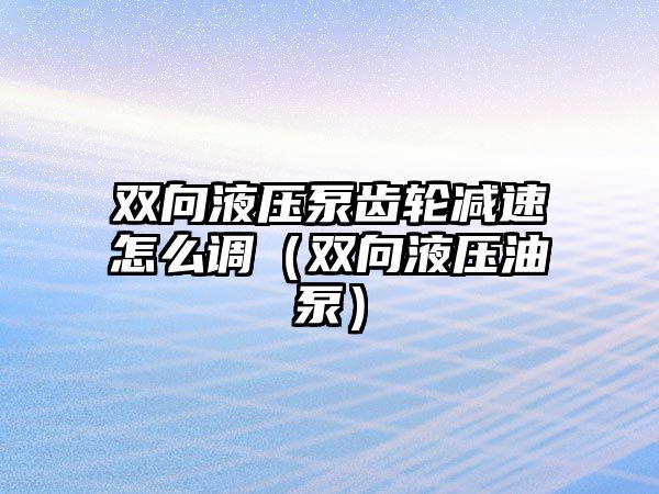 雙向液壓泵齒輪減速怎么調（雙向液壓油泵）