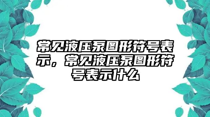 常見液壓泵圖形符號表示，常見液壓泵圖形符號表示什么