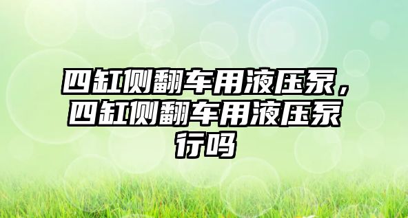 四缸側(cè)翻車用液壓泵，四缸側(cè)翻車用液壓泵行嗎