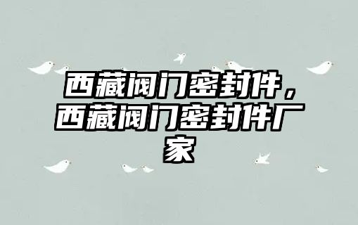 西藏閥門密封件，西藏閥門密封件廠家