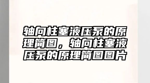 軸向柱塞液壓泵的原理簡(jiǎn)圖，軸向柱塞液壓泵的原理簡(jiǎn)圖圖片