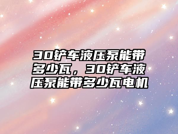 30鏟車液壓泵能帶多少瓦，30鏟車液壓泵能帶多少瓦電機