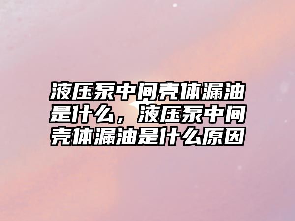 液壓泵中間殼體漏油是什么，液壓泵中間殼體漏油是什么原因