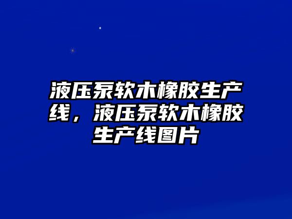 液壓泵軟木橡膠生產(chǎn)線，液壓泵軟木橡膠生產(chǎn)線圖片