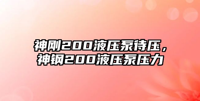 神剛200液壓泵待壓，神鋼200液壓泵壓力