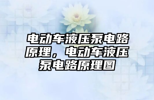 電動車液壓泵電路原理，電動車液壓泵電路原理圖