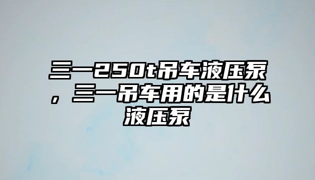 三一250t吊車液壓泵，三一吊車用的是什么液壓泵